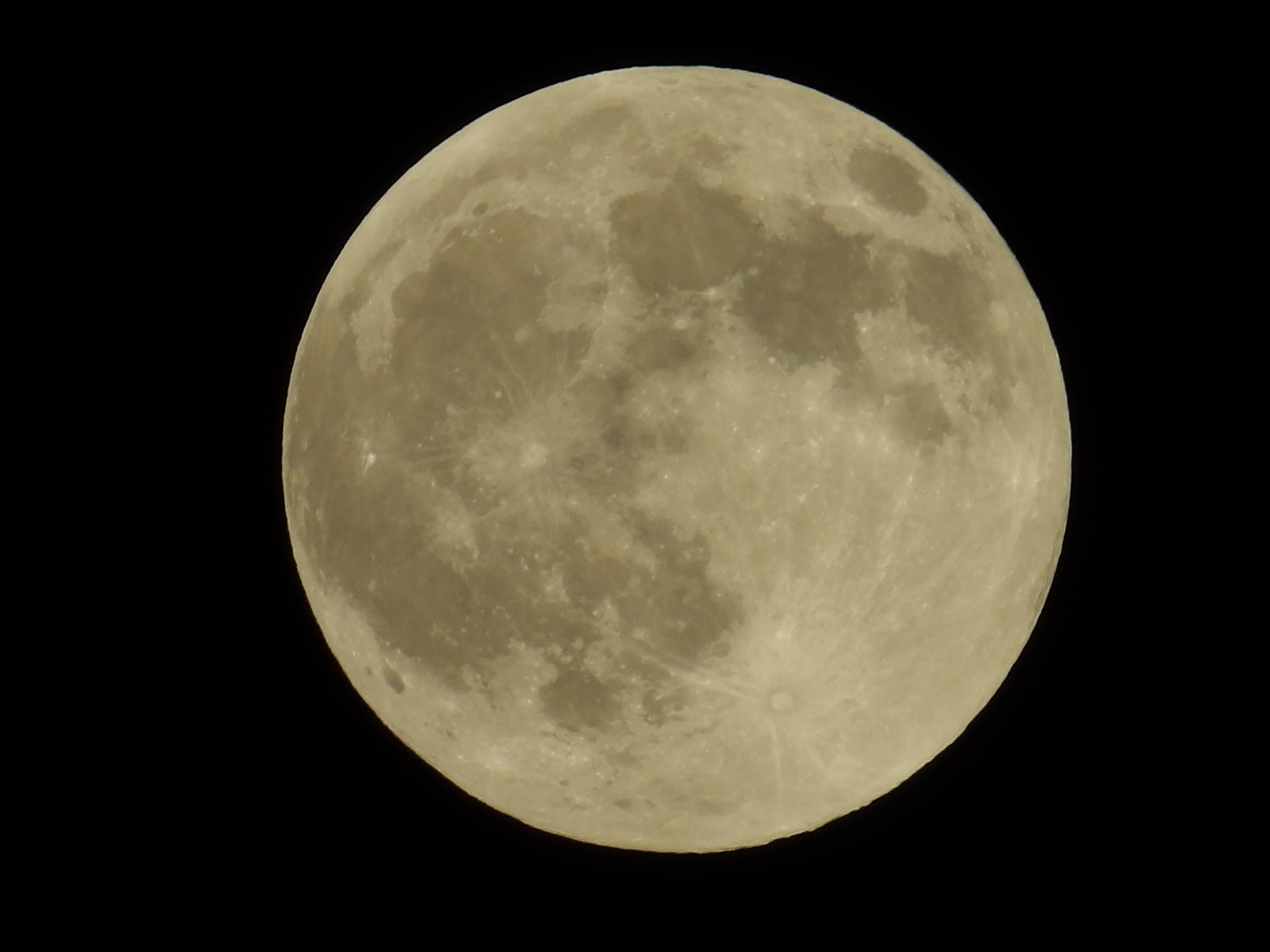 Harvest Moon